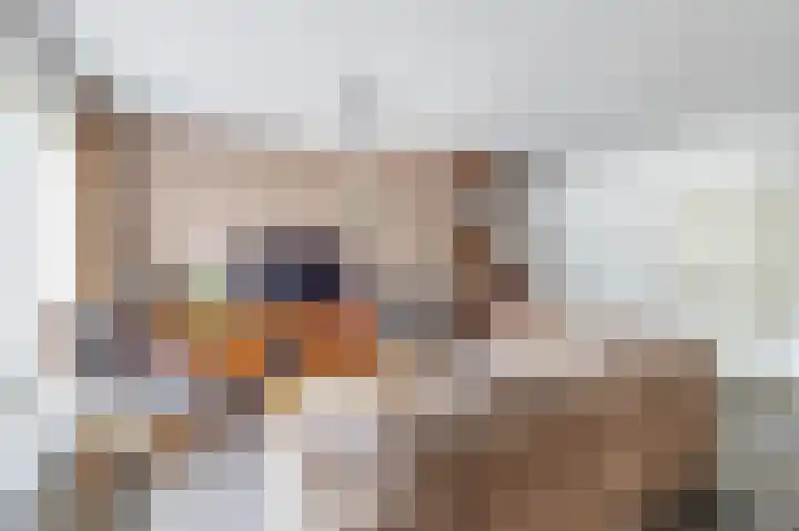 Piustuin 4 Lisse thumbnail 9
