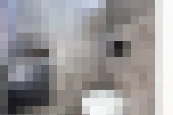 Pizarrolaan 15 Utrecht thumbnail 12