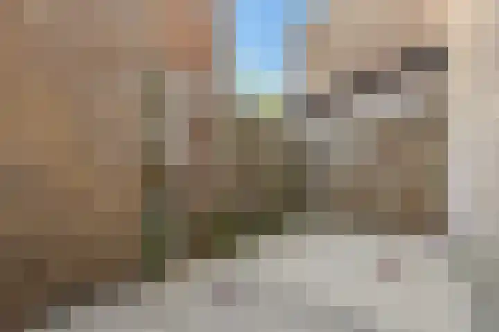 Pizarrolaan 15 Utrecht thumbnail 13