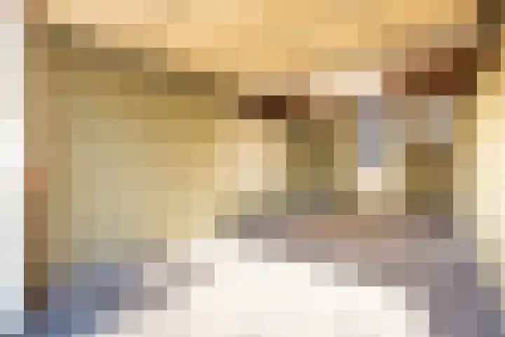 Pizarrolaan 15 Utrecht thumbnail 17