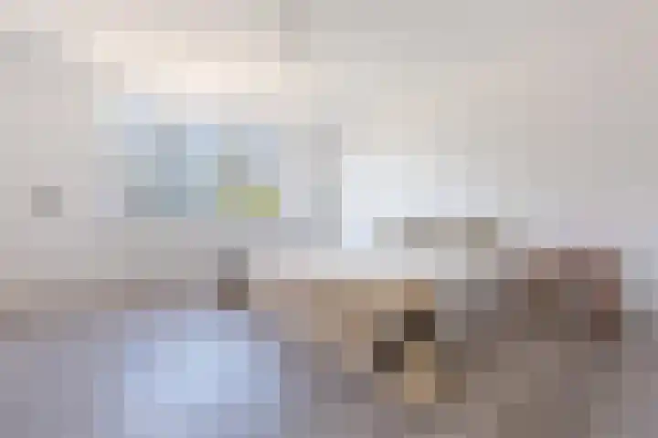 Pizarrolaan 15 Utrecht thumbnail 20