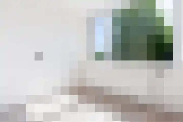 Pizarrolaan 15 Utrecht thumbnail 25