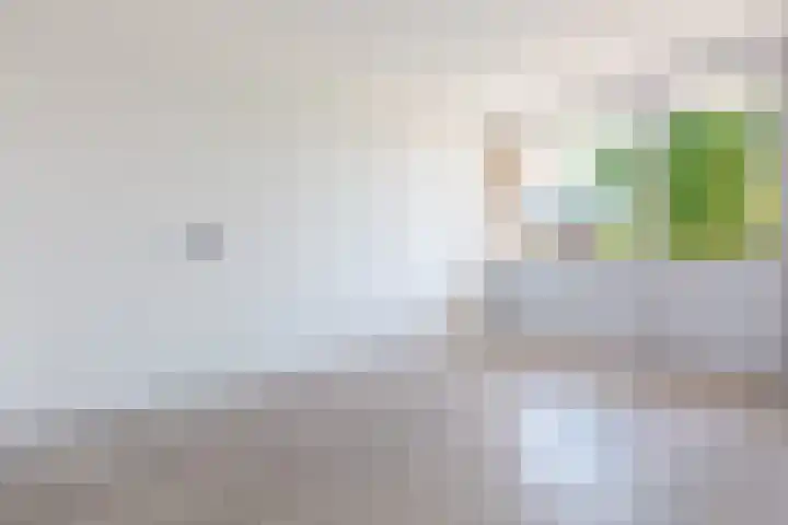 Pizarrolaan 15 Utrecht thumbnail 26