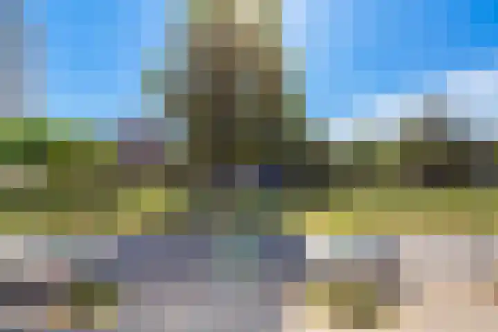Pizarrolaan 15 Utrecht thumbnail 27