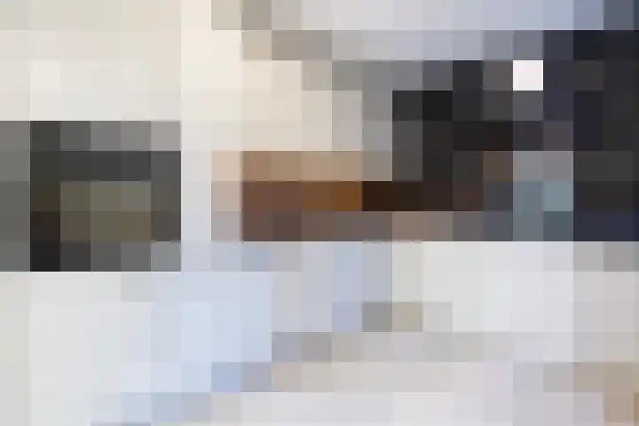 Pizarrolaan 15 Utrecht thumbnail 5