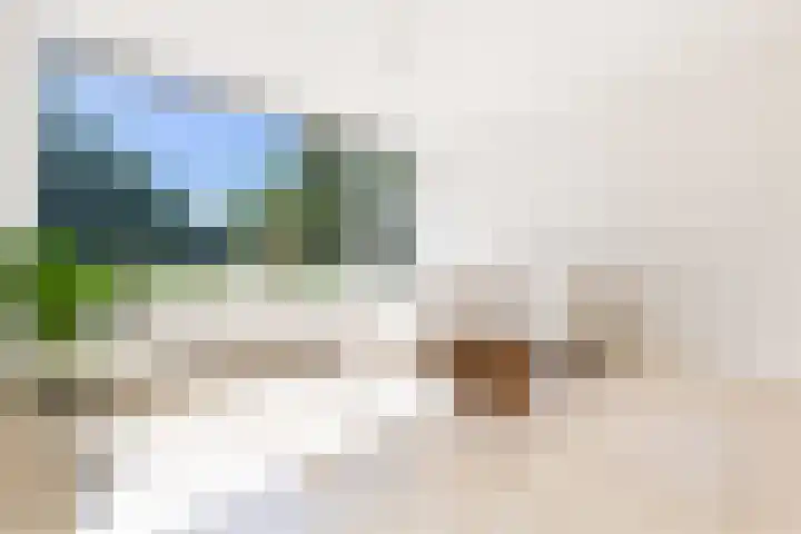 Pizarrolaan 15 Utrecht thumbnail 6