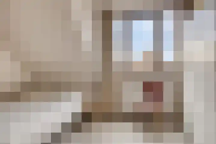 Plaats 15 Veghel thumbnail 12