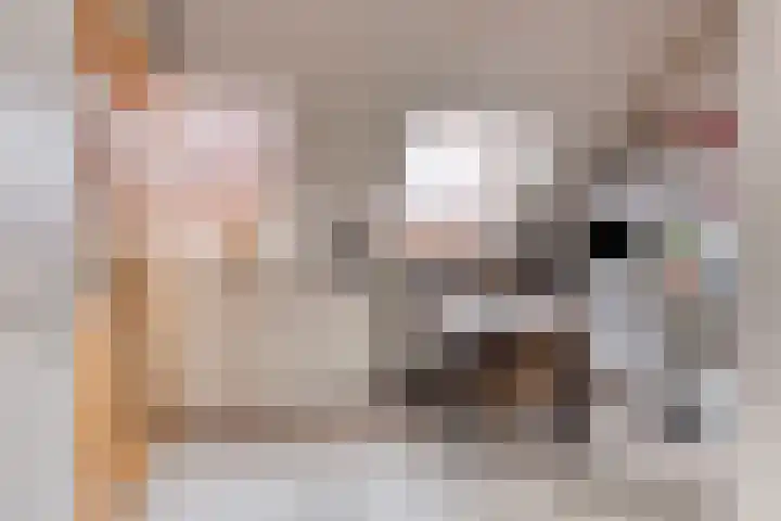 Plaats 15 Veghel thumbnail 17