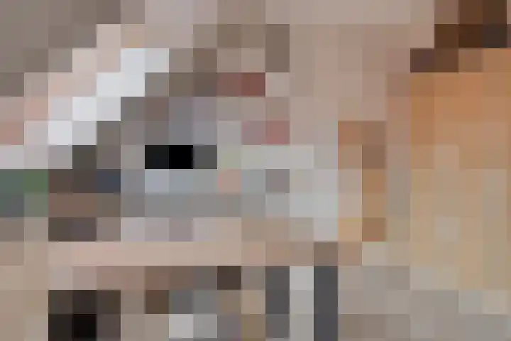 Plaats 15 Veghel thumbnail 19