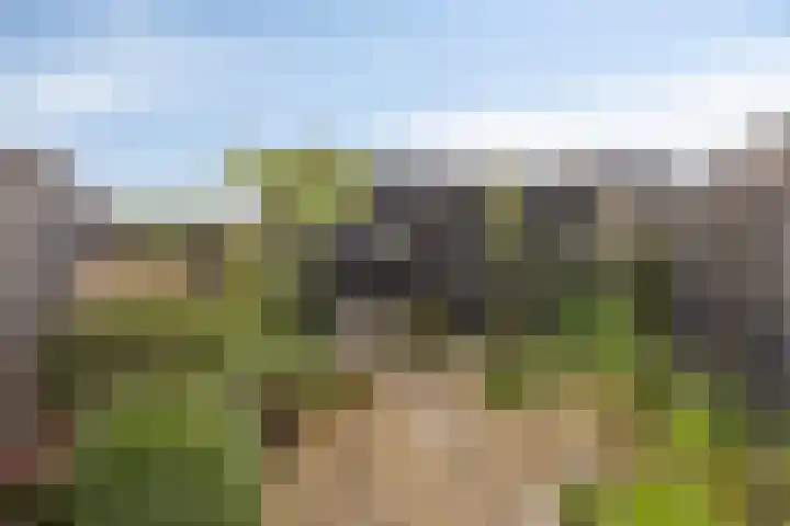 Plaats 15 Veghel thumbnail 20