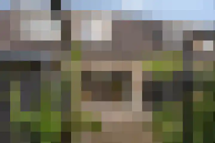 Plaats 15 Veghel thumbnail 21
