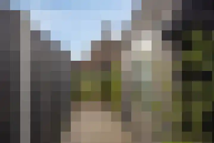 Plaats 15 Veghel thumbnail 22