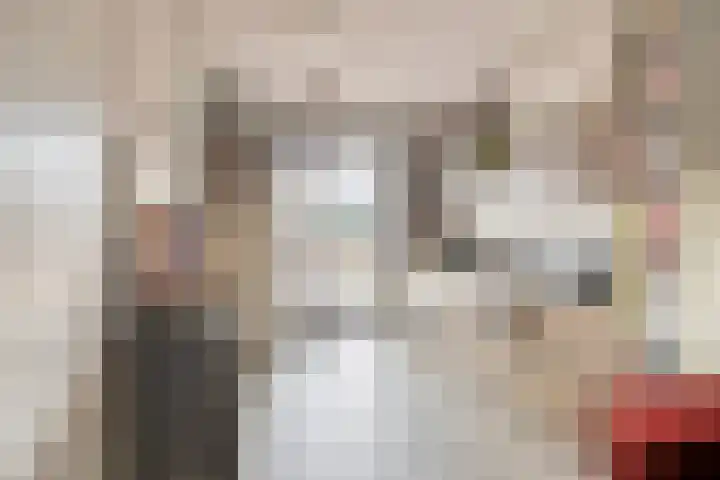 Plaats 15 Veghel thumbnail 4