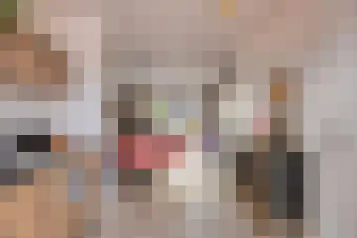 Plaats 15 Veghel thumbnail 6