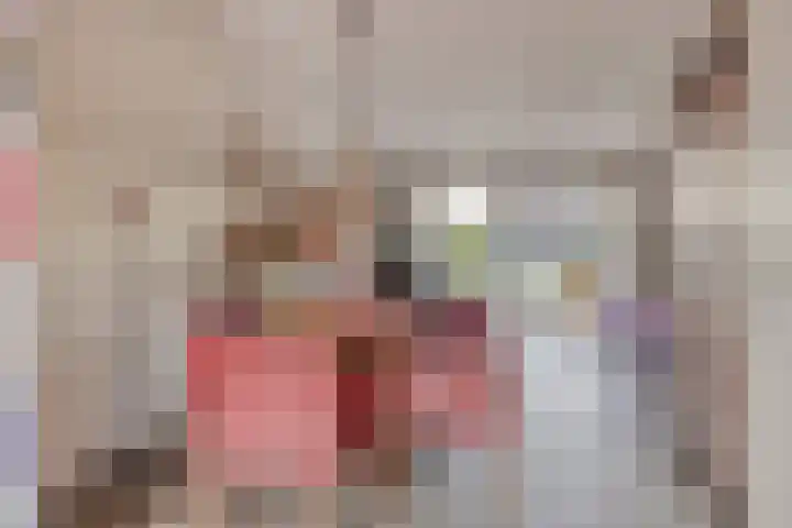 Plaats 15 Veghel thumbnail 7