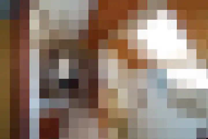 Plaats 22 A Honselersdijk thumbnail 20