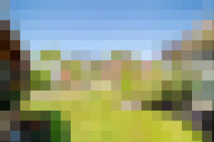 Plaats 22 A Honselersdijk thumbnail 24