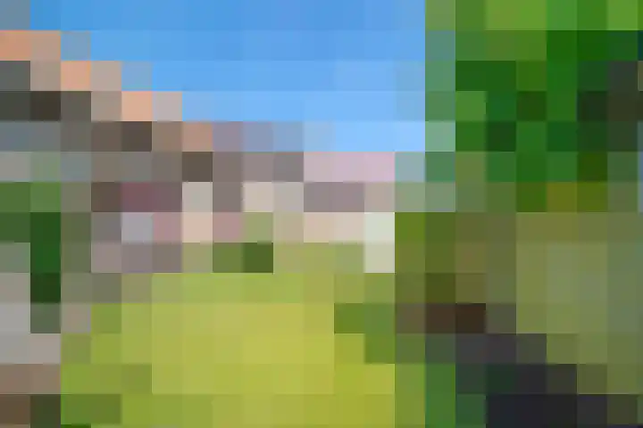 Plaats 22 A Honselersdijk thumbnail 28