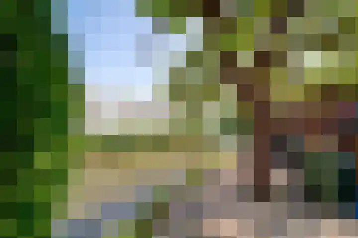 Plaats 22 A Honselersdijk thumbnail 34
