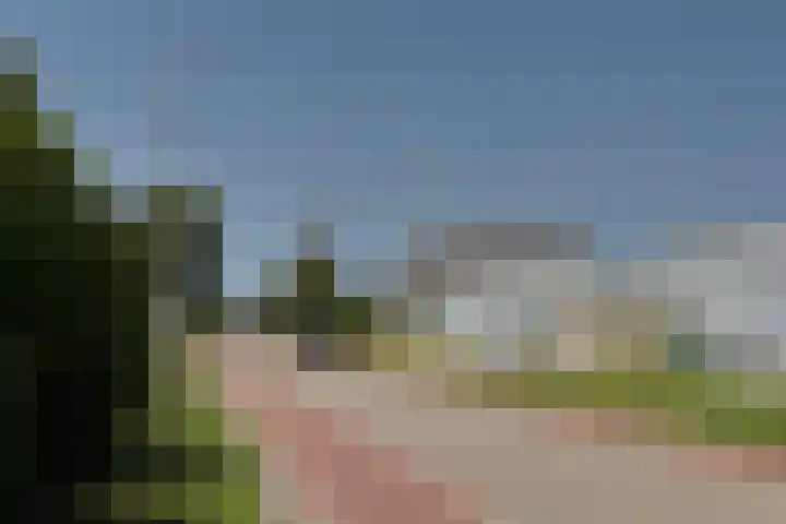 Plaats 22 A Honselersdijk thumbnail 39