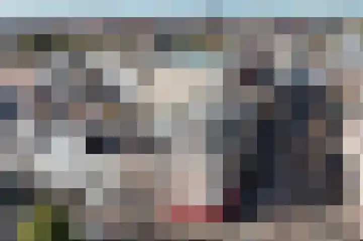 Plaats 24 A Den Haag thumbnail 24