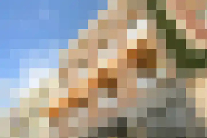 Plaats 24 A Den Haag thumbnail 4