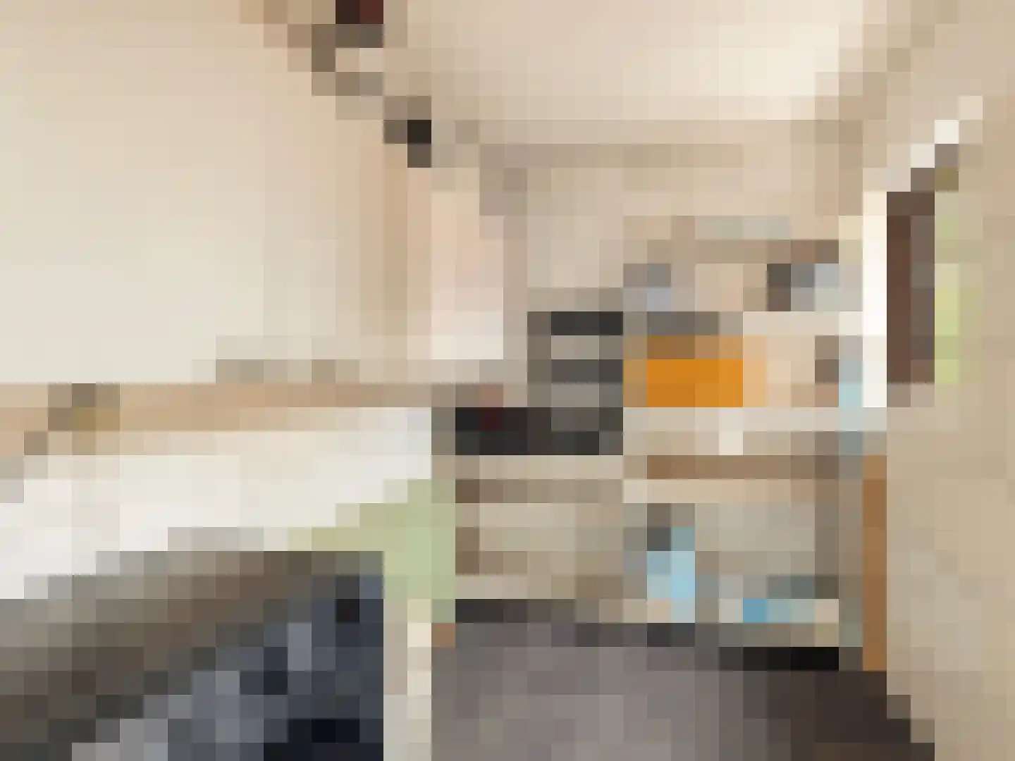 Plaats 5 Rutten thumbnail 14