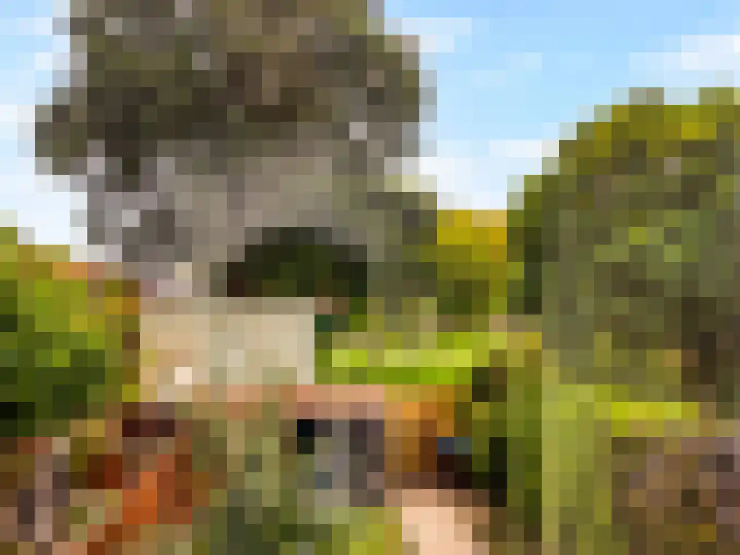 Plaats 5 Rutten thumbnail 34
