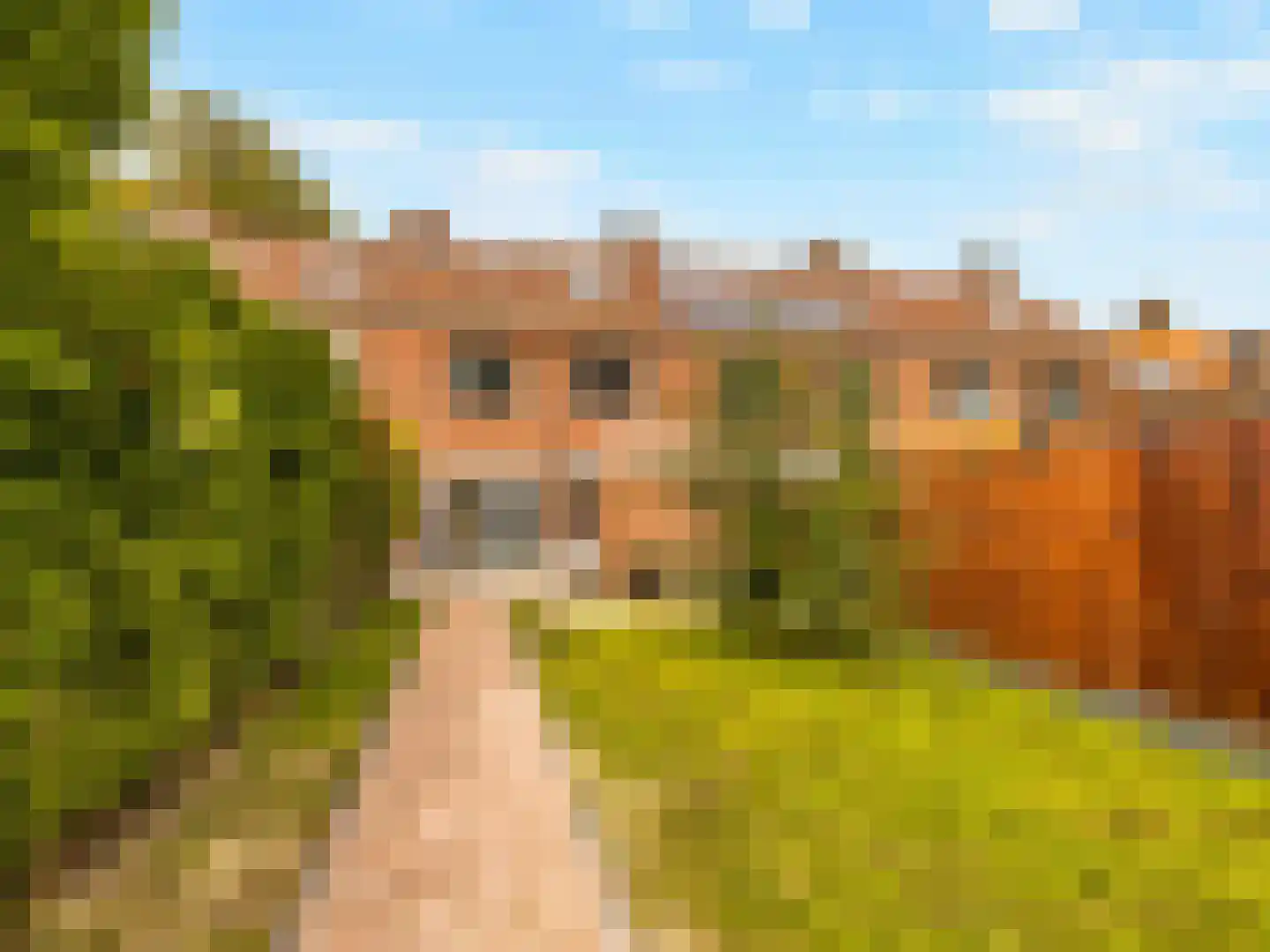 Plaats 5 Rutten thumbnail 37