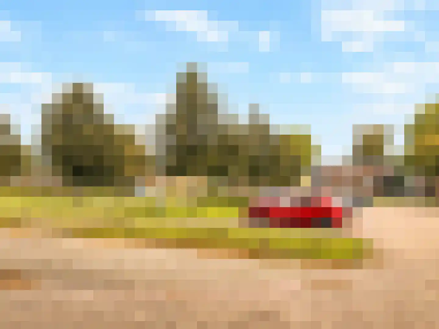 Plaats 5 Rutten thumbnail 43