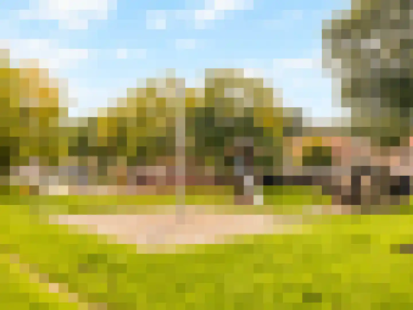 Plaats 5 Rutten thumbnail 46