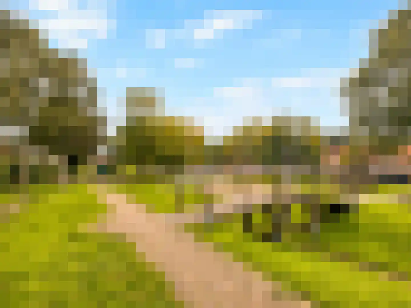 Plaats 5 Rutten thumbnail 47