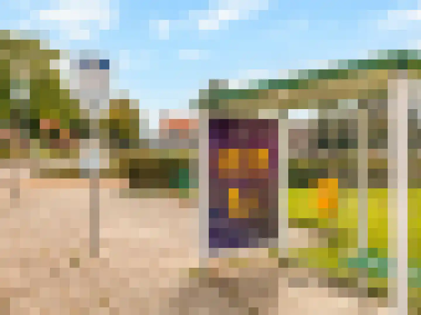 Plaats 5 Rutten thumbnail 49