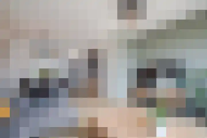 Plaats 5 Veghel thumbnail 10