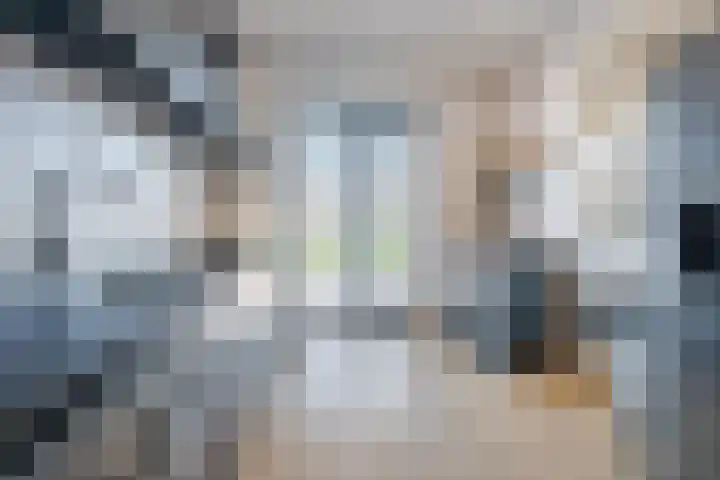 Plaats 5 Veghel thumbnail 14