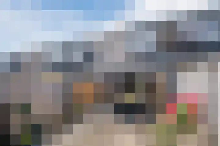 Plaats 5 Veghel thumbnail 4