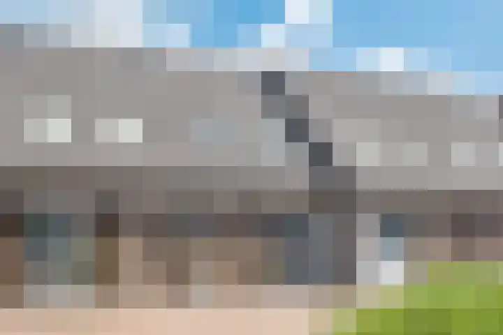 Plaats 5 Veghel thumbnail 7