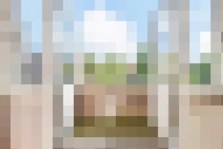 Plaats van Middendorp 11 Voorburg thumbnail 31
