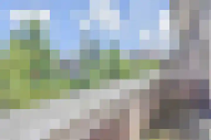 Plaats van Middendorp 11 Voorburg thumbnail 51