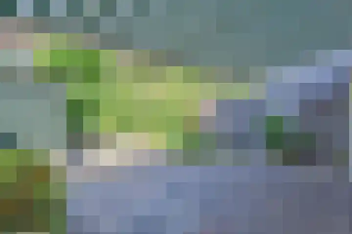 Plaats van Middendorp 11 Voorburg thumbnail 54
