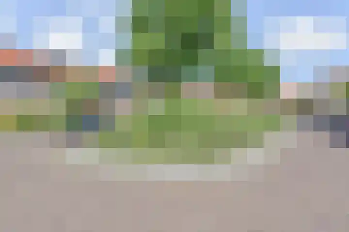 Plaats van Middendorp 11 Voorburg thumbnail 6