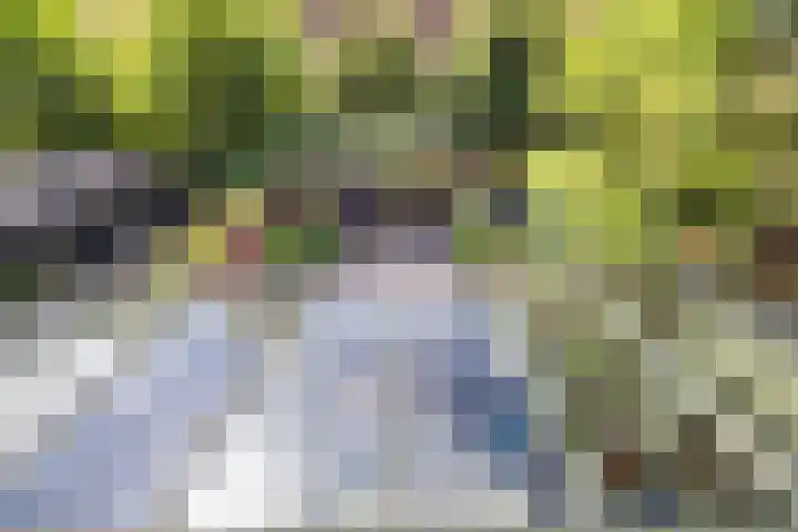 Plaats van Middendorp 13 Voorburg thumbnail 28
