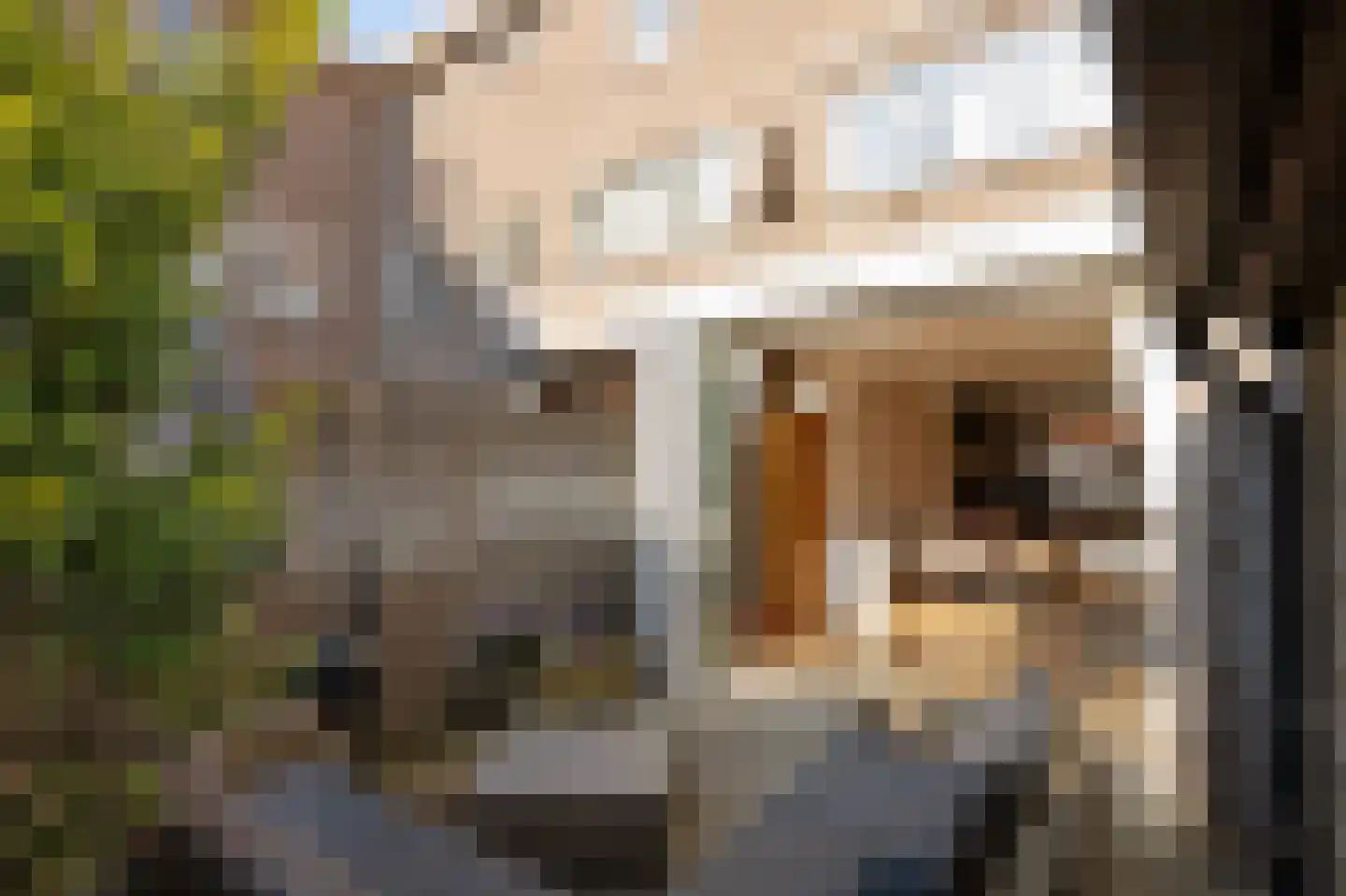 Plaats van Middendorp 15 Voorburg thumbnail 13
