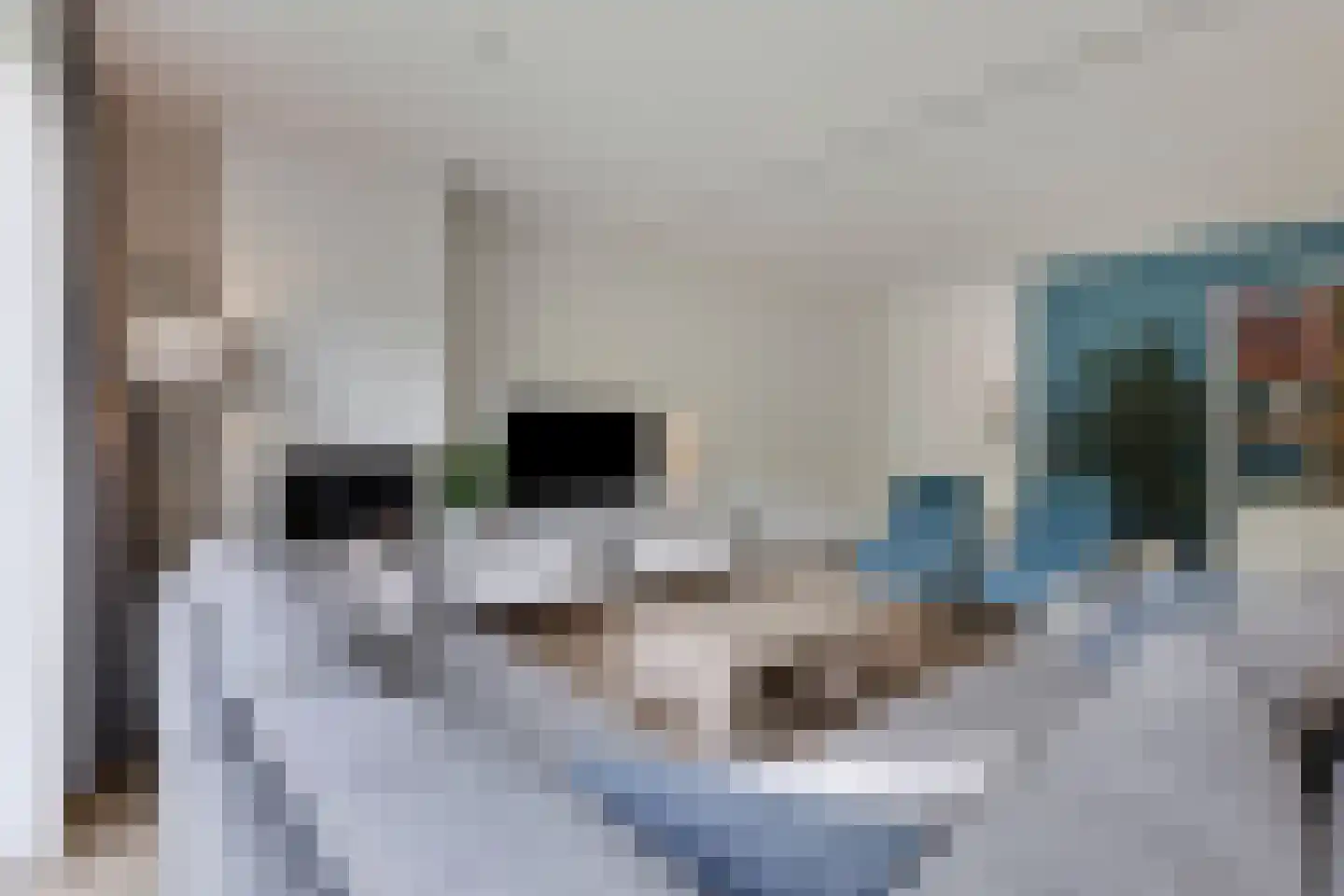 Plaatwerkerstraat 3 Gaanderen thumbnail 15