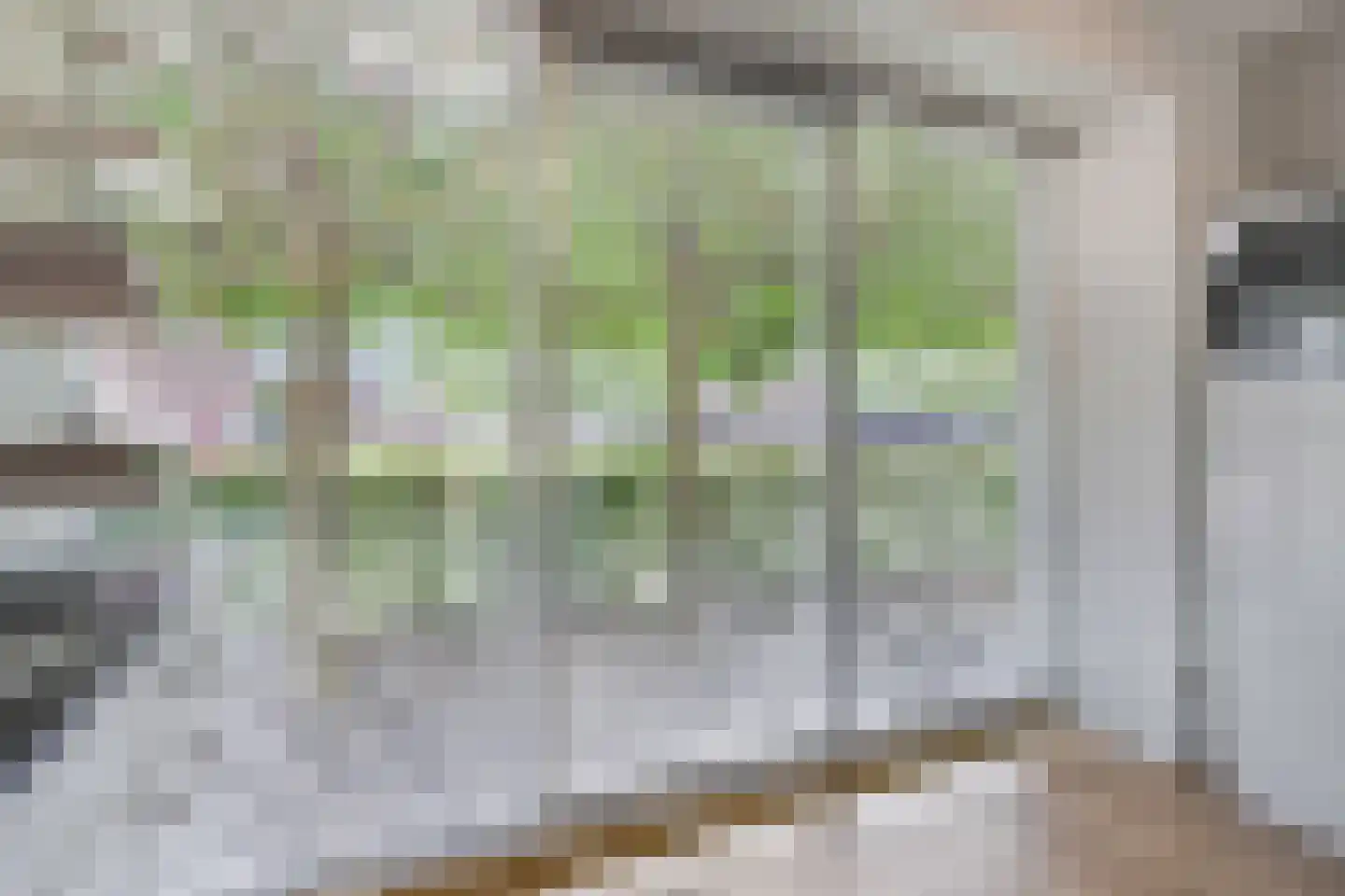 Plaatwerkerstraat 3 Gaanderen thumbnail 21