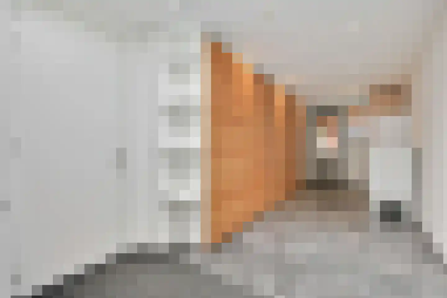 Plaatwerkerstraat 3 Gaanderen thumbnail 44