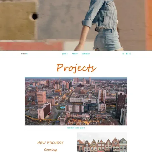 Capture d'écran du site web de placem.nl