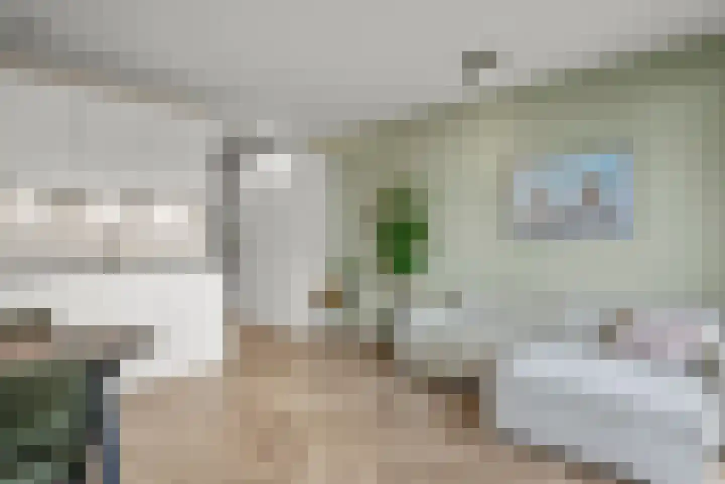Pladellastraat 3 D Haarlem thumbnail 16