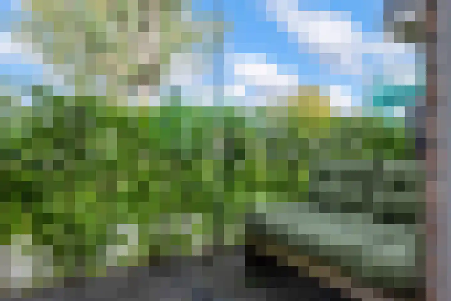 Pladellastraat 3 D Haarlem thumbnail 17