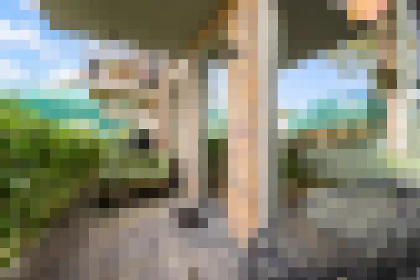 Pladellastraat 3 D Haarlem thumbnail 18
